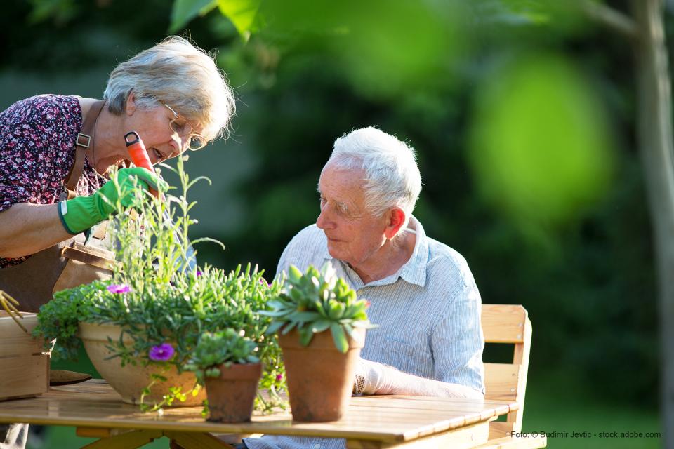 Zwei ältere Personen bepflanzen Blumentöpfe