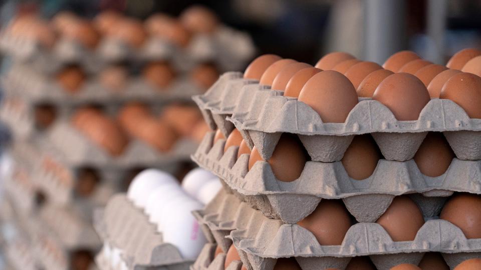 Mehrere Stapel Eierkartons mit frischen Eiern