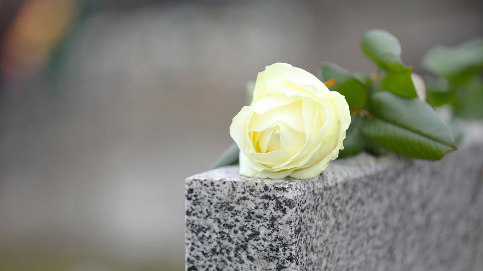 Blume auf einem Grabstein
