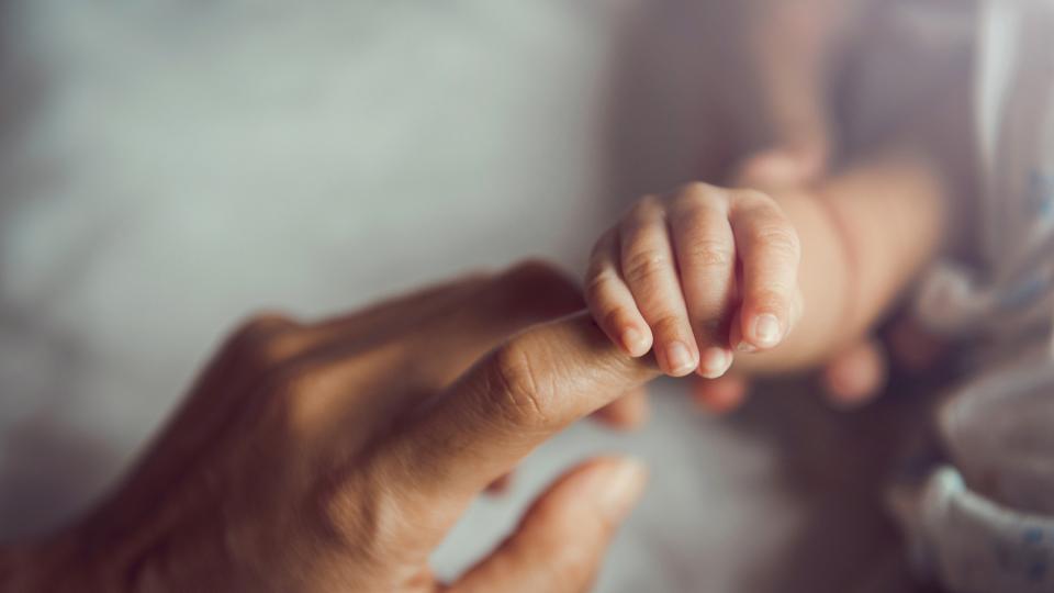 Babyhand umfasst den linken Zeigefinger eines Erwachsenen