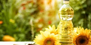 Flasche Sonnenblumenöl, Sonnenblumen und Sonnenblumenkerne