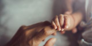 Baby hält den Finger eines Erwachsenen